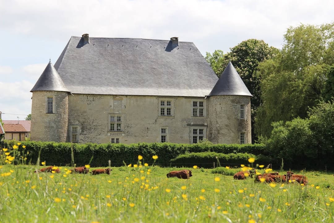 Groupe BLE Lorraine